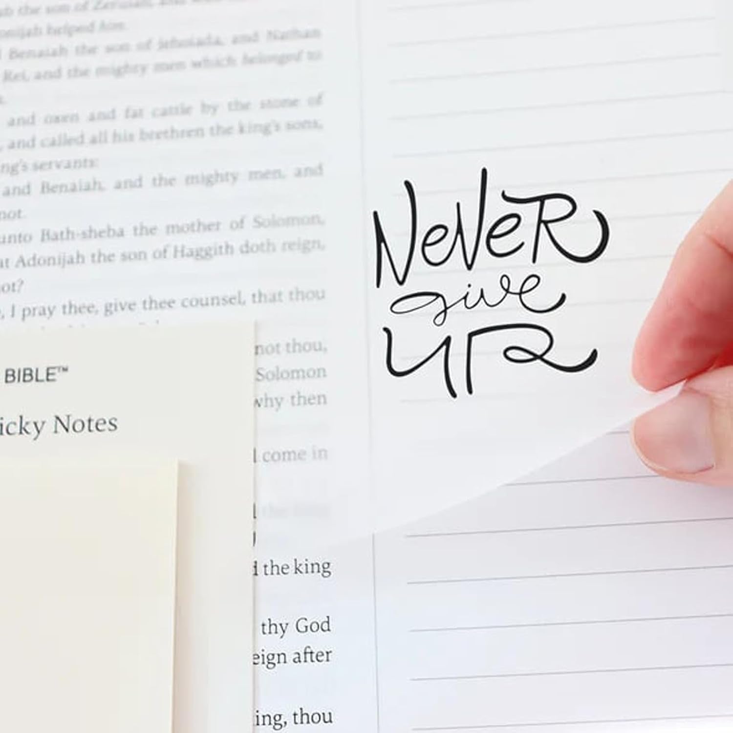 The Bible in a Year: a 52-Week Bible Study for Women Spiral, Spiral Bible in a Year, the Daily Walk Bundle, a Daily Bibles Study Workbook with Note Taking Space for Guided Reading Plan (8.27*5.83Inch)