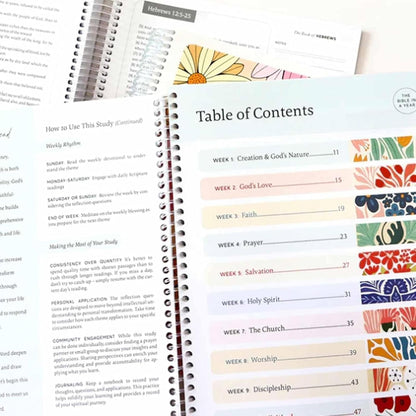 The Bible in a Year: a 52-Week Bible Study for Women Spiral, Spiral Bible in a Year, the Daily Walk Bundle, a Daily Bibles Study Workbook with Note Taking Space for Guided Reading Plan (8.27*5.83Inch)