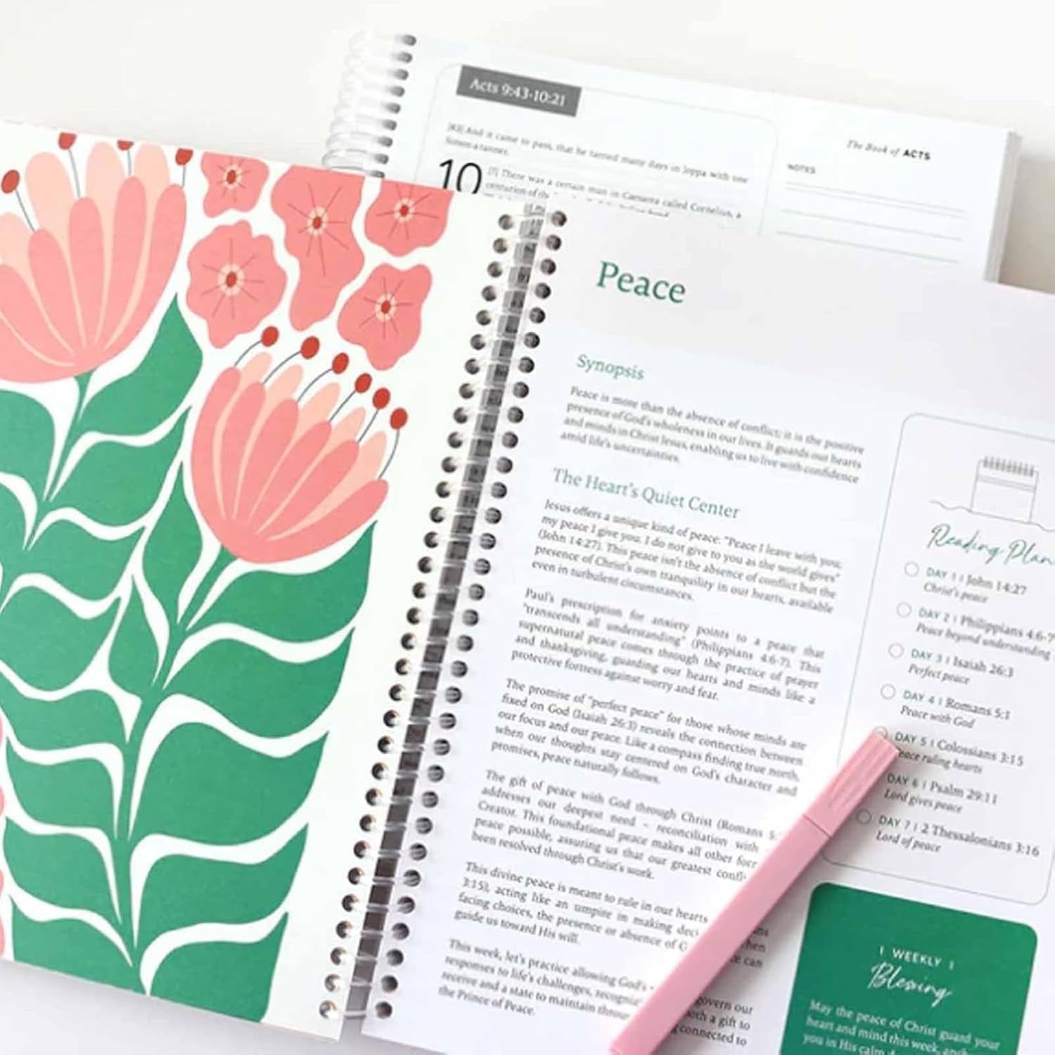 The Bible in a Year: a 52-Week Bible Study for Women Spiral, Spiral Bible in a Year, the Daily Walk Bundle, a Daily Bibles Study Workbook with Note Taking Space for Guided Reading Plan (8.27*5.83Inch)